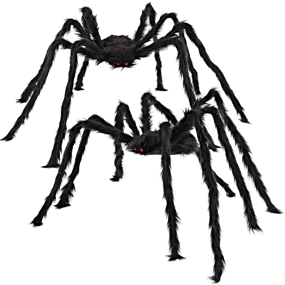 Two hairy black spiders with red eyes