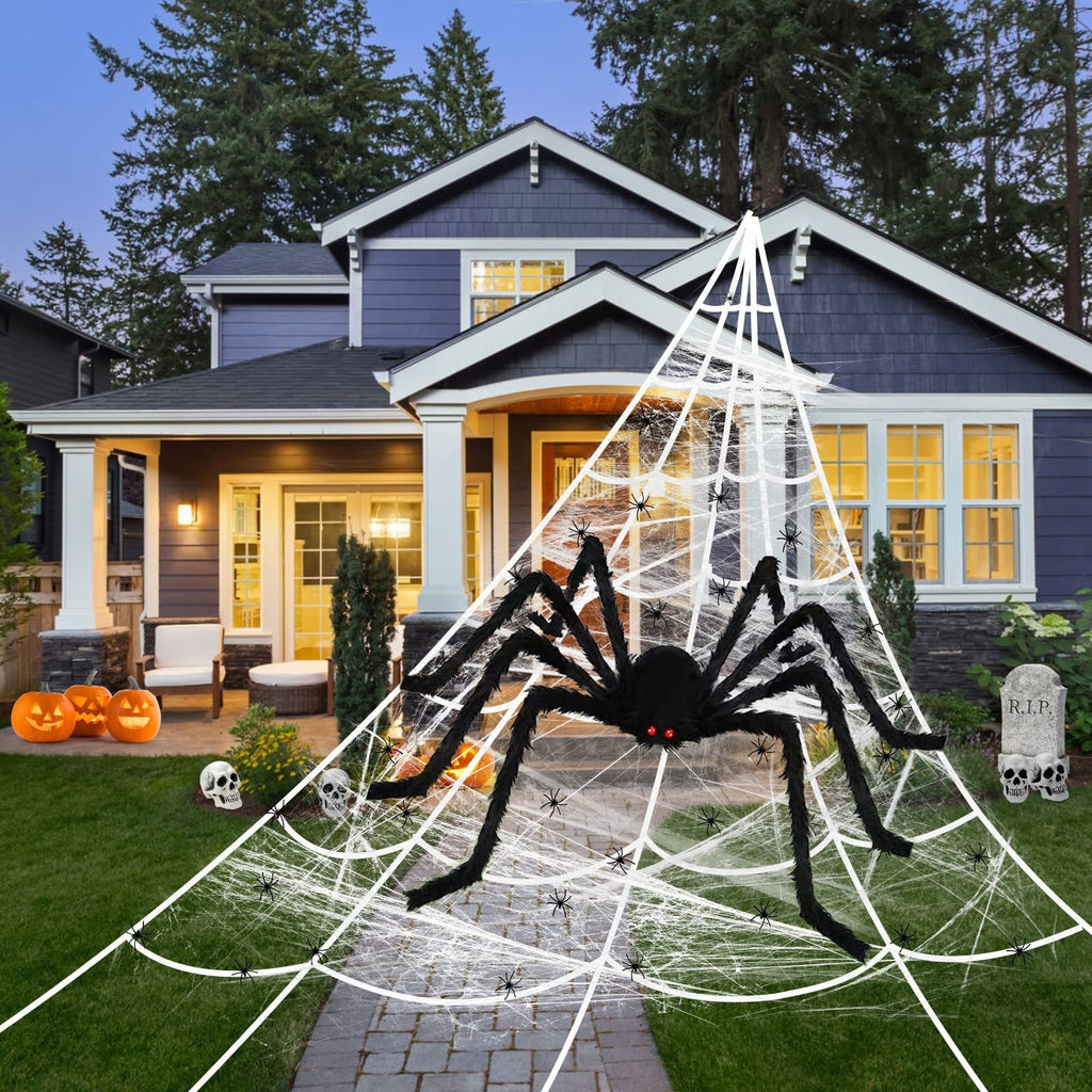 Festwick Hairy Spider on a porch web